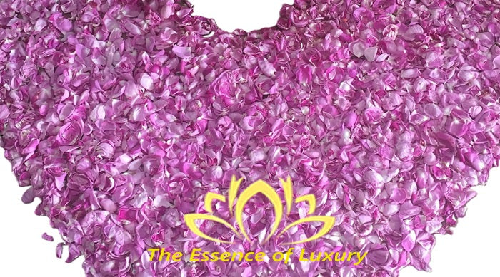 Shandiz Damask Rose Petals