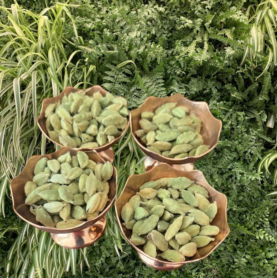 Shandiz Organic Green Cardamom Pods Jumbo Grade, Hand Picked